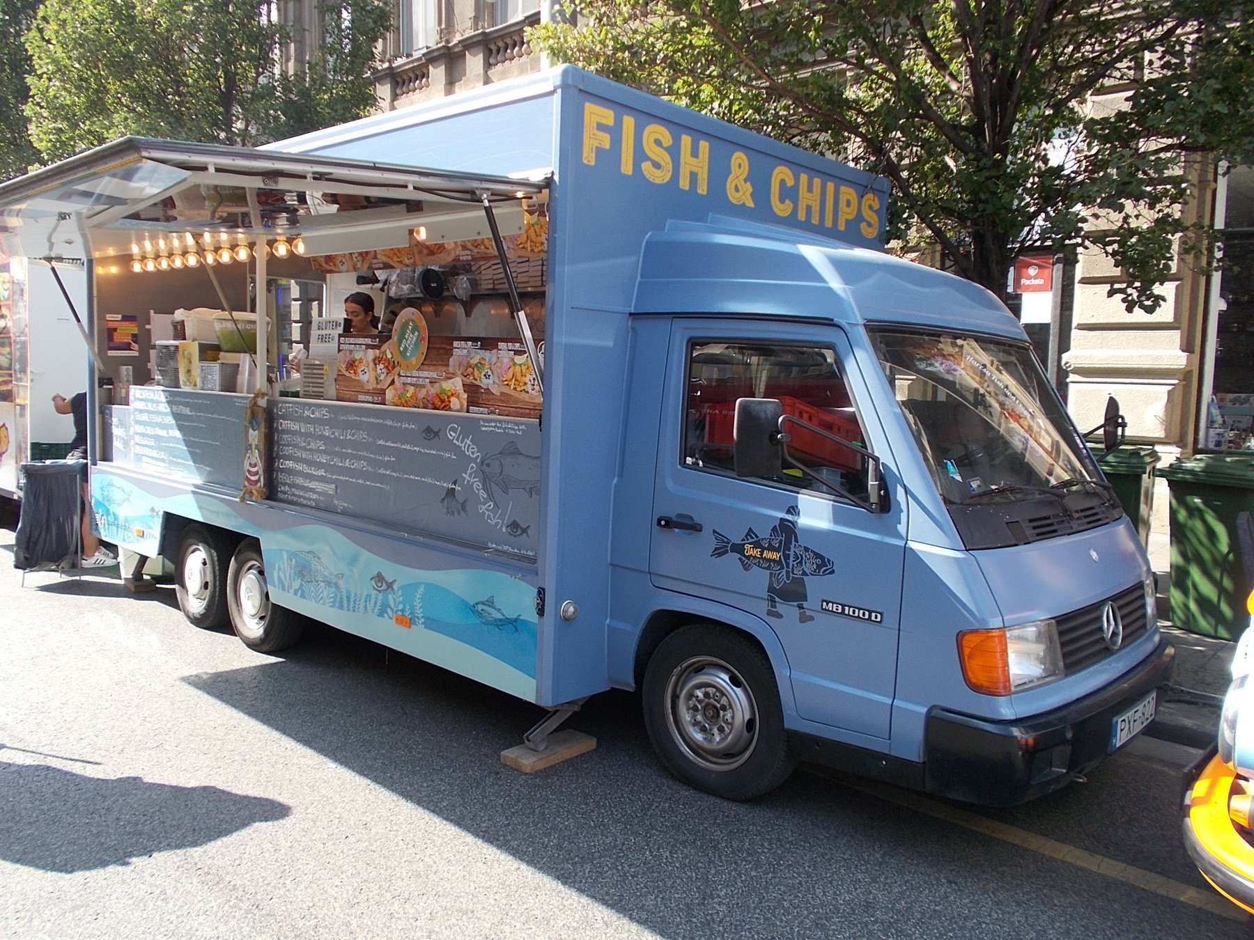 Van Mercedes Benz 100 D