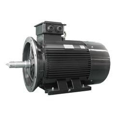 EMZ YE3-112M4-2