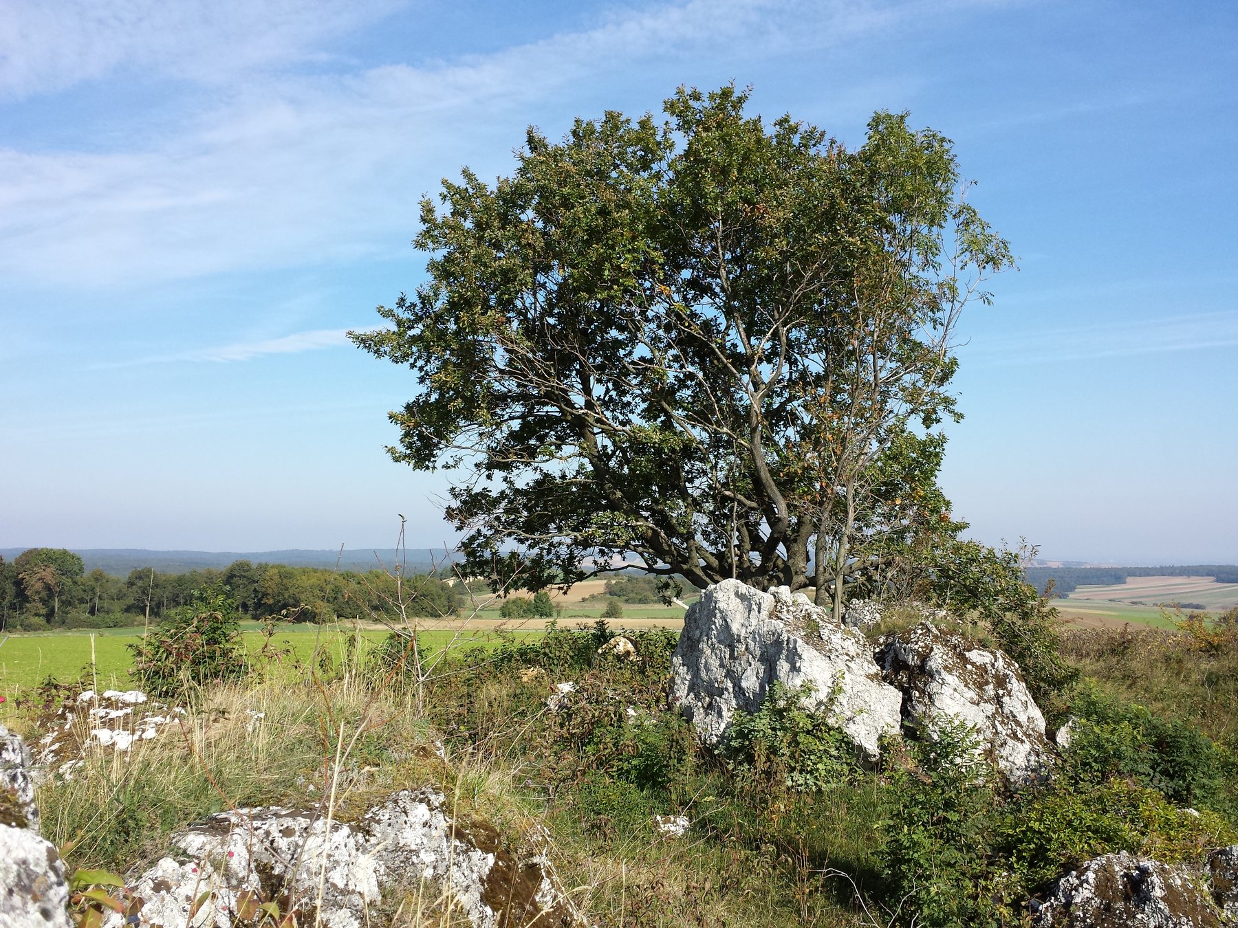 Steinbacher K28