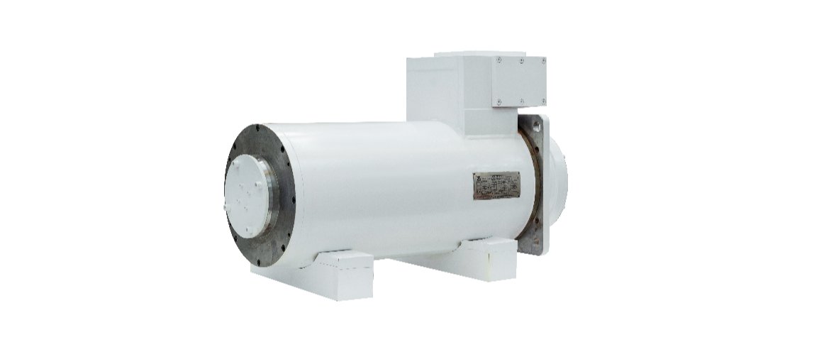 Electric motor Wolong YE3- 160L-2