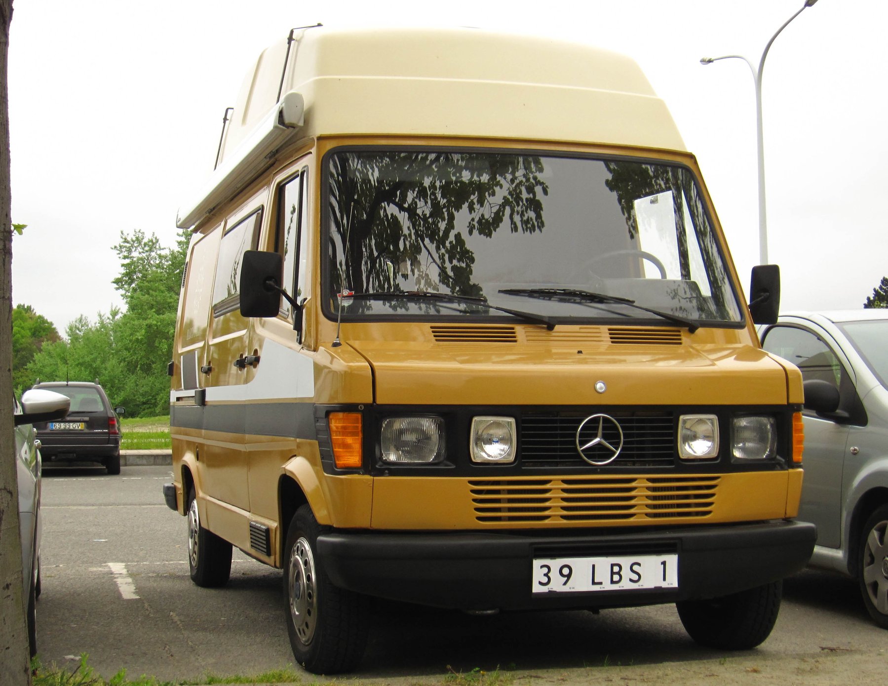 Van Mercedes Benz 209 D
