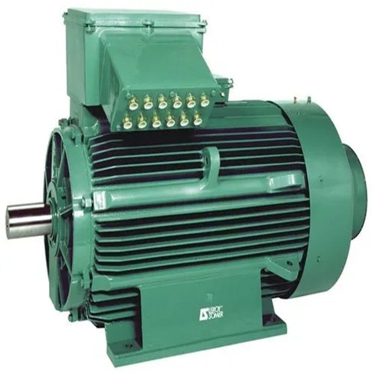 Electric motor Leroy Somer LS112MR