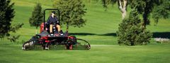TORO 10612 - Toro Reel Mower