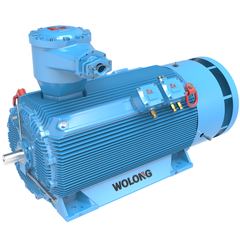 Guanglu YX3-100L2-4