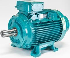 Brook Crompton W-D225M