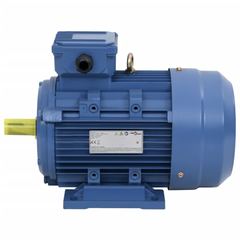 Rotek RX 30 Kw 3 Phase 2 Pole Motor