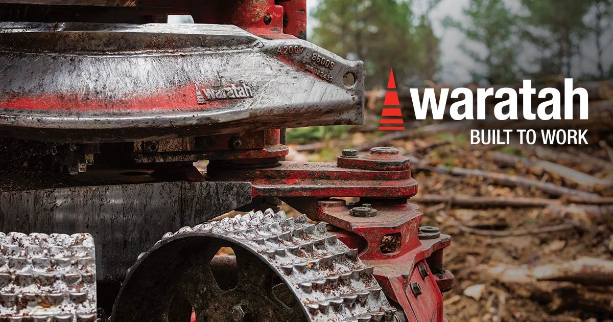 Waratah C30