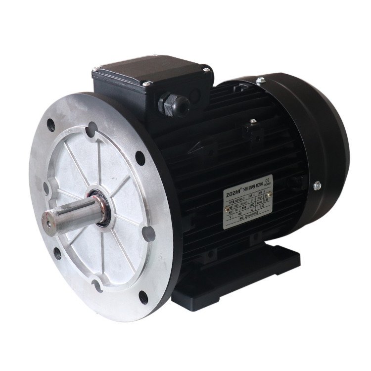 Electric motor Mechtric MS100L-2