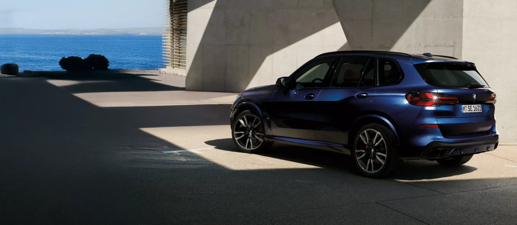 Transporter Bmw X5 M60I XDRIVE