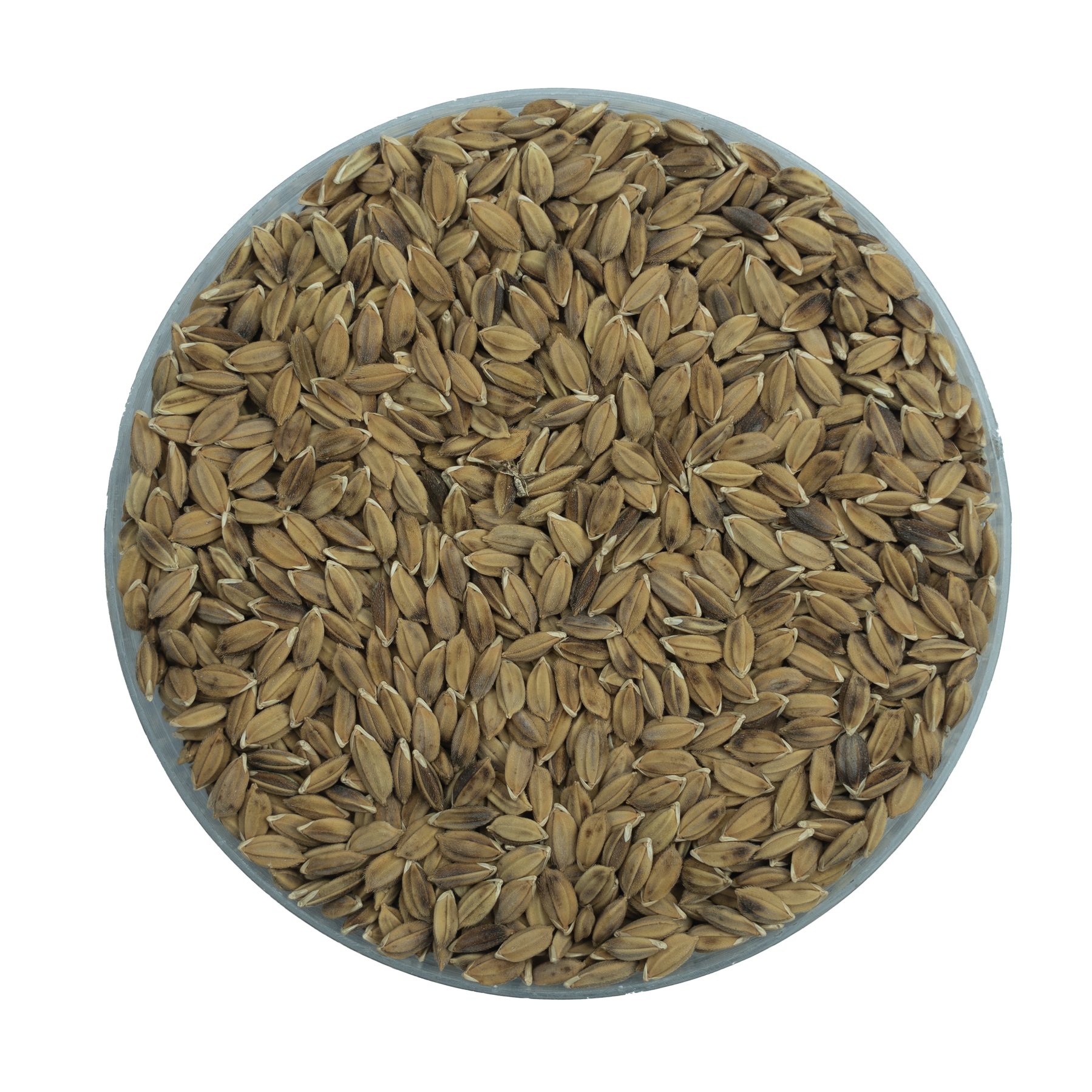 Przyczepa RICE -