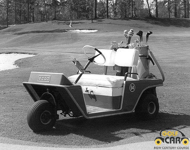 Golf & utility carts E-Z-GO Freedom & Fleet Gas (2002)