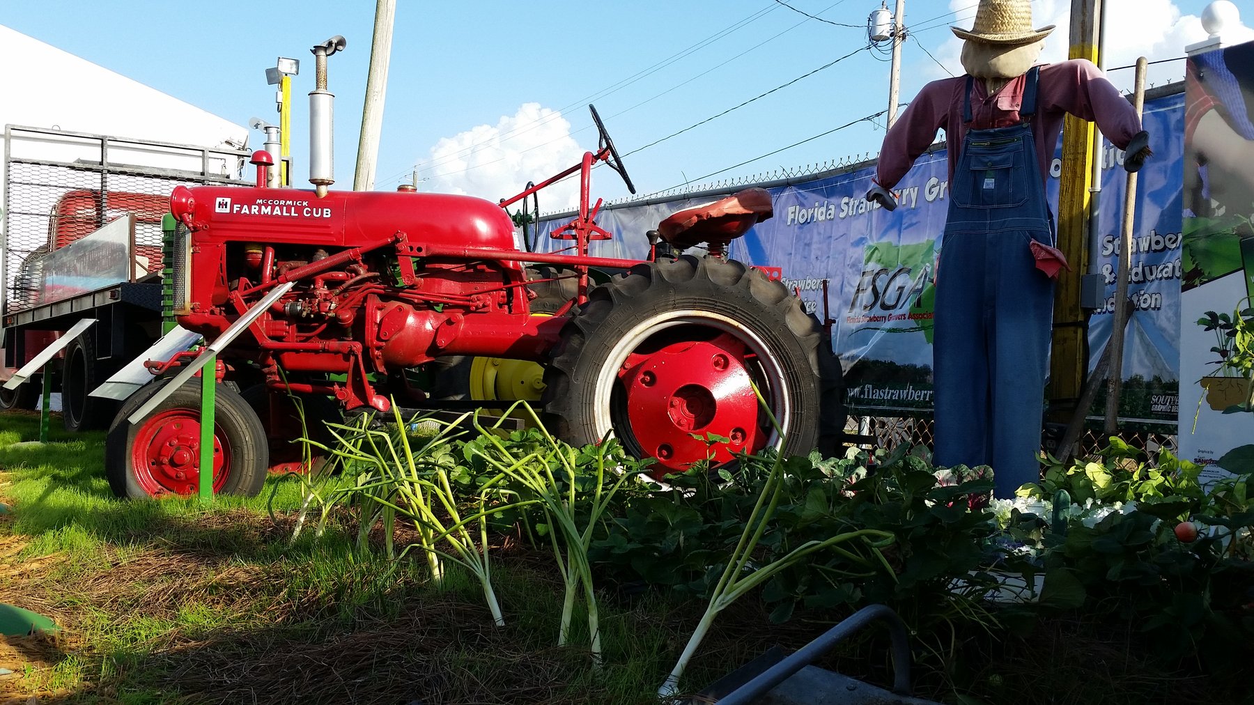 Traktor McCormick Farmall Super CUB
