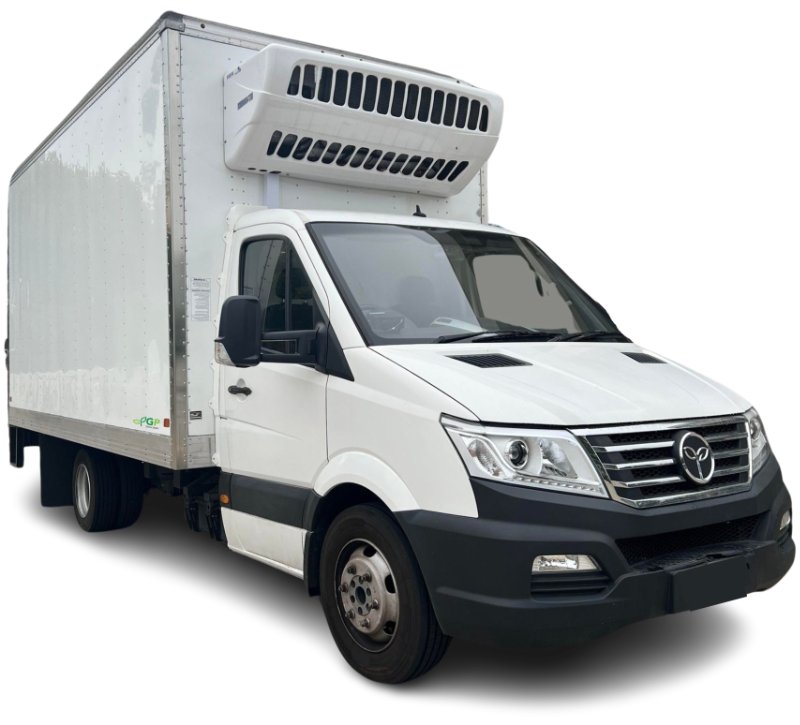 Truck GreenPower EV Star Cargo Plus
