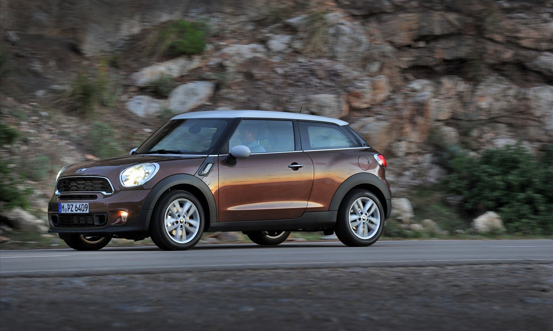 Van Mini L 030 P