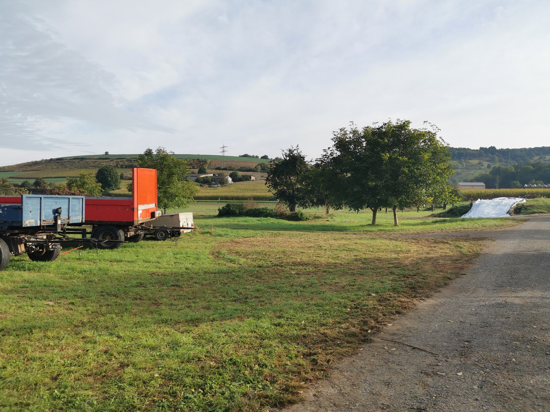 Trailer Wiese -