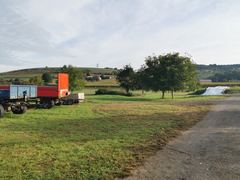 Wiese -