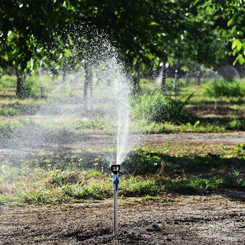Turf irrigation Rain Bird LFX300 Low Flow Sprinkler