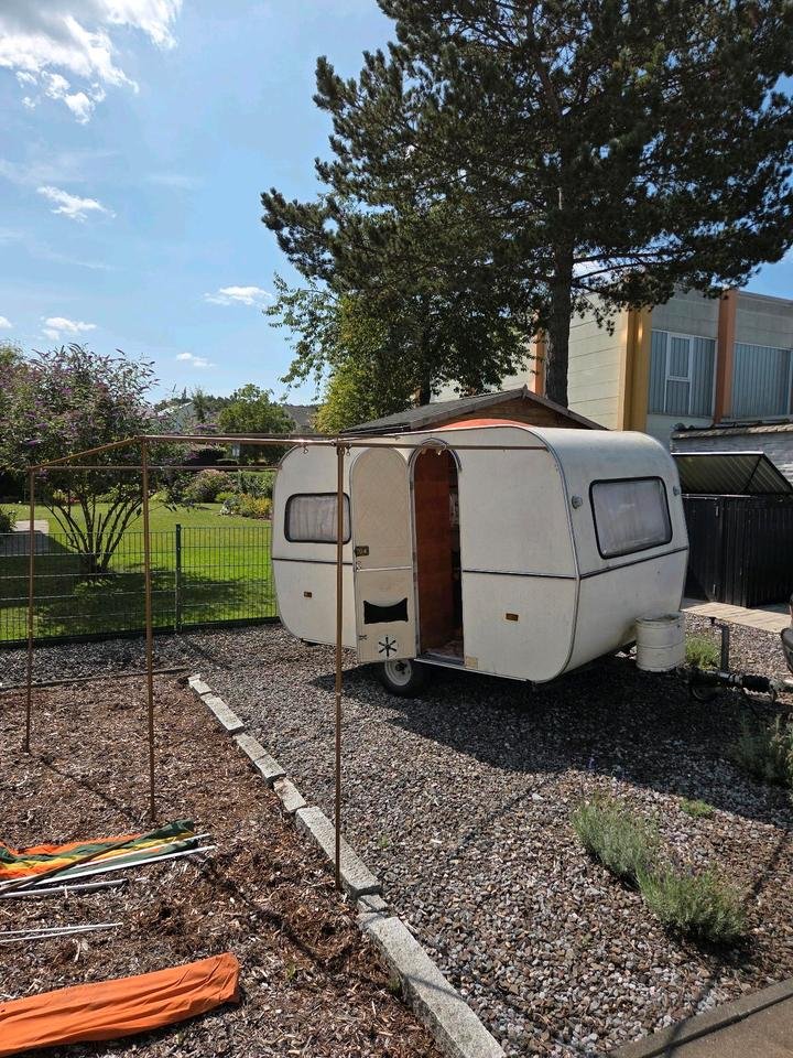 Trailer DE REU CASBAH 330 V