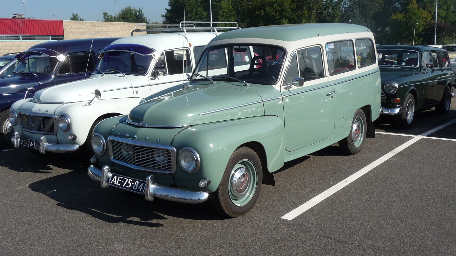 Van Volvo P 210 DUET
