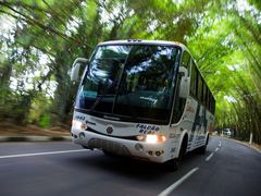 Scania F94