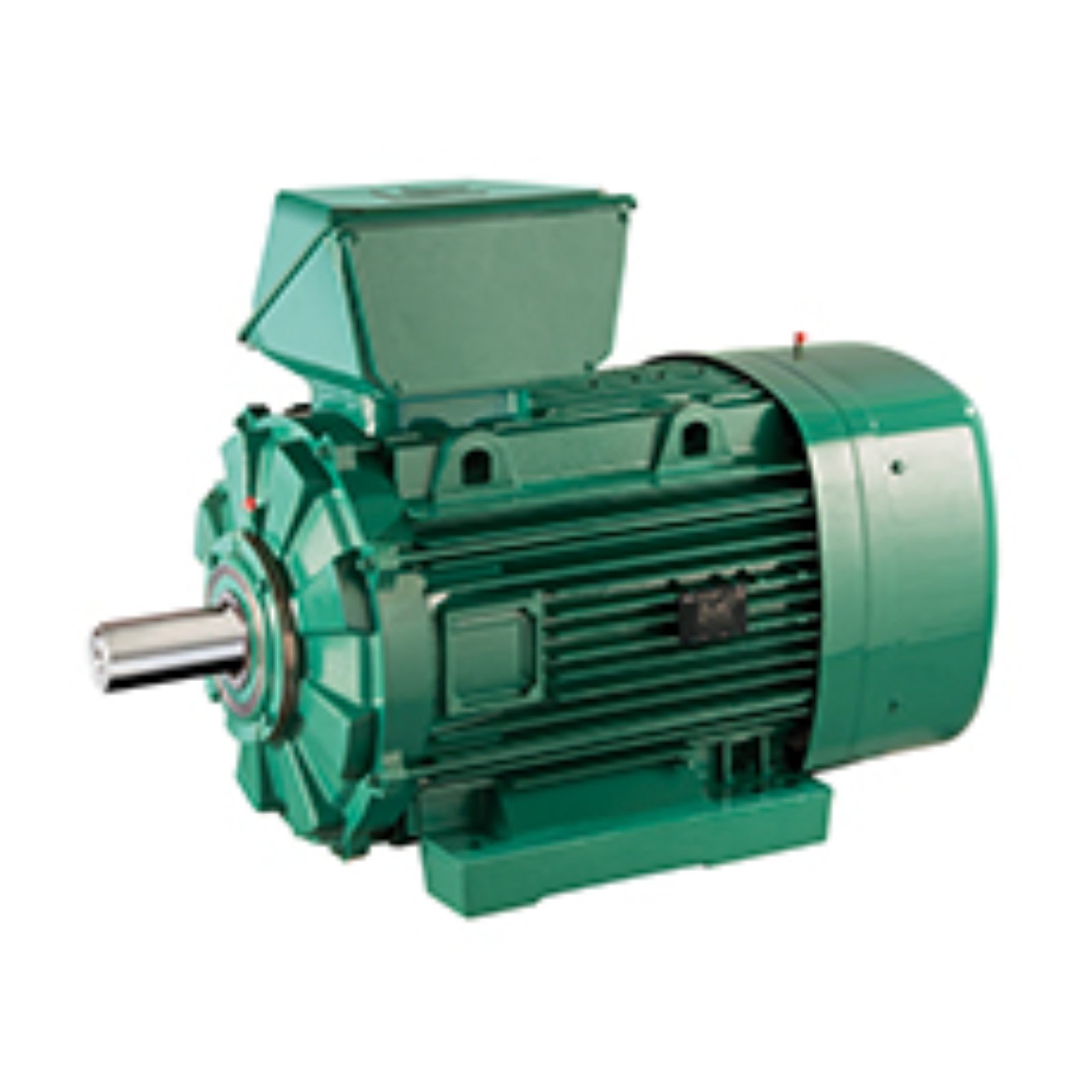 Electric motor Leroy Somer FLSES225ST