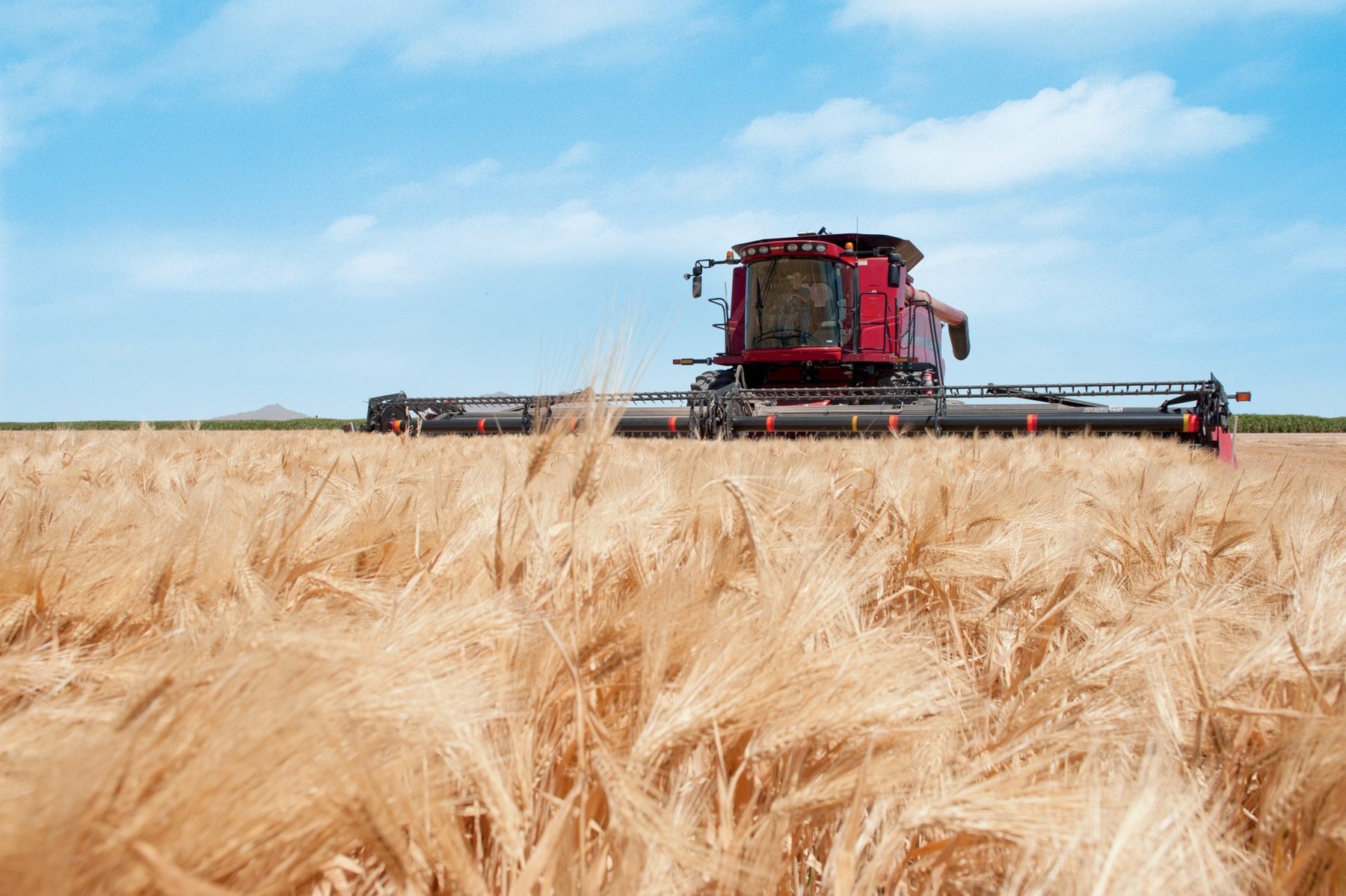 Harvester Case IH AXIAL-FLOW 2388E