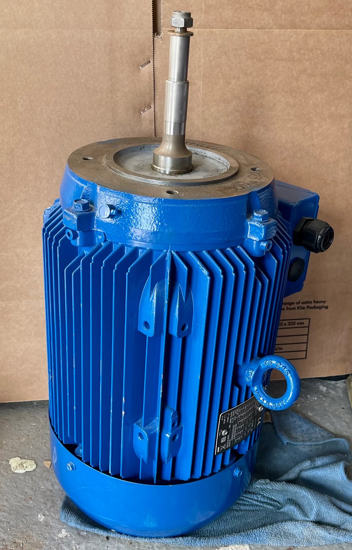 Electric motor Lowara Plm PLM132/392