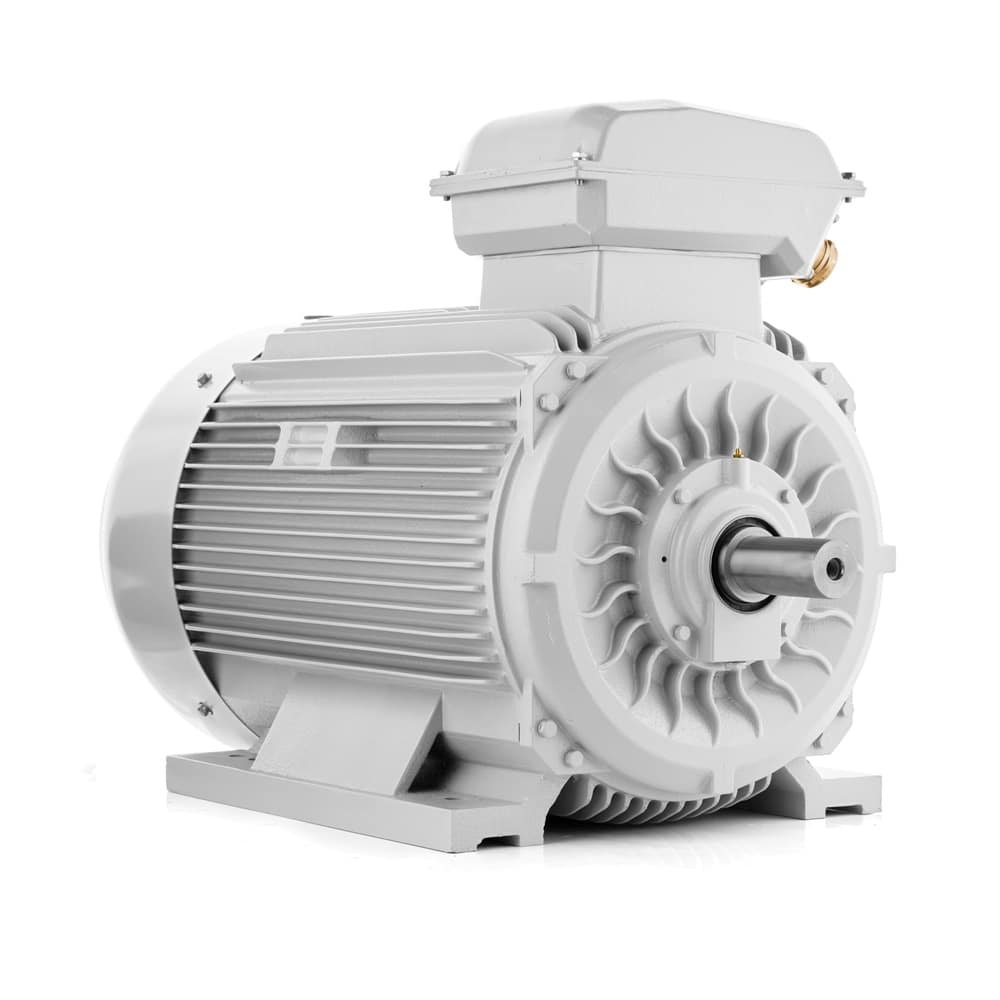 Electric motor Rxm Electric Motor 250