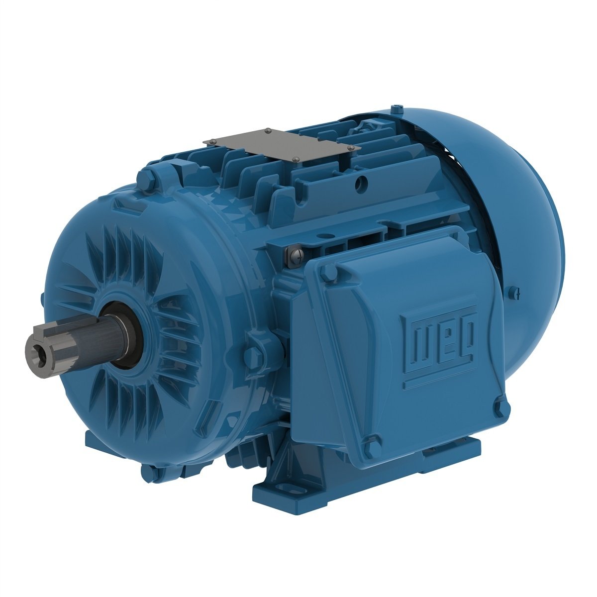 Electric motor Mechtric WEA100LA-4