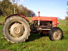 Massey Ferguson MF 37