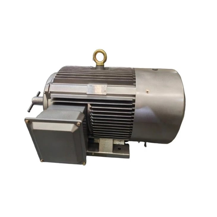 Electric motor Fasco Y2HE-315S-4