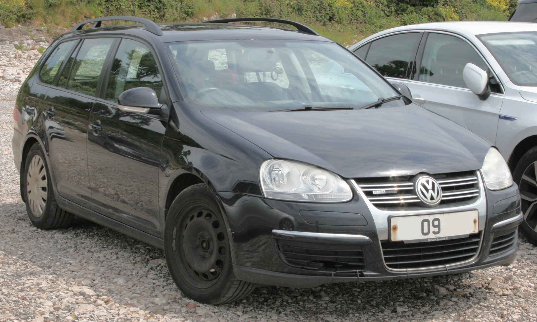 Van Volkswagen GOLF VARIANT 1.9TDI
