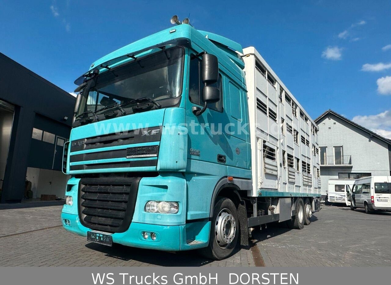 Truck DAF FARXF105,460T