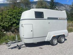 CAMP-LET MUSTANG ALLROUND