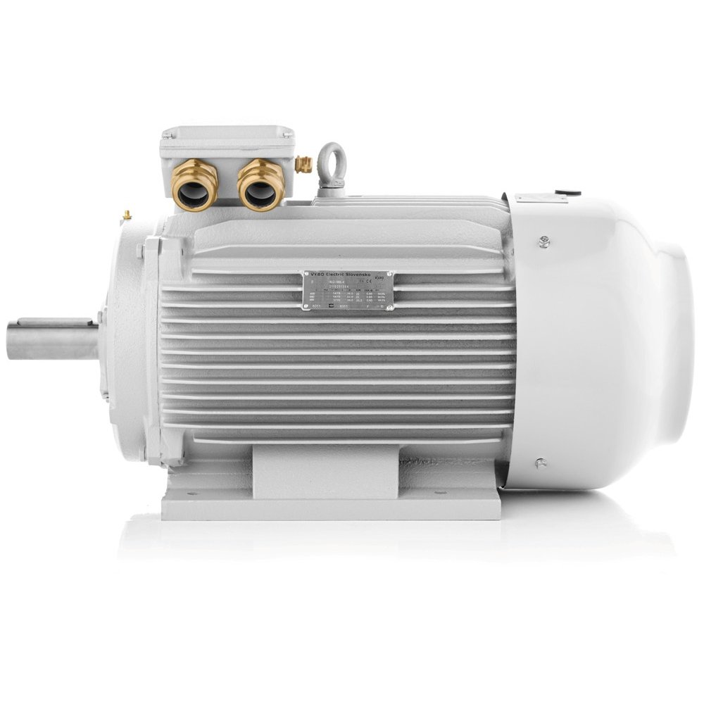 Electric motor Trojan 15MD1C180L-6