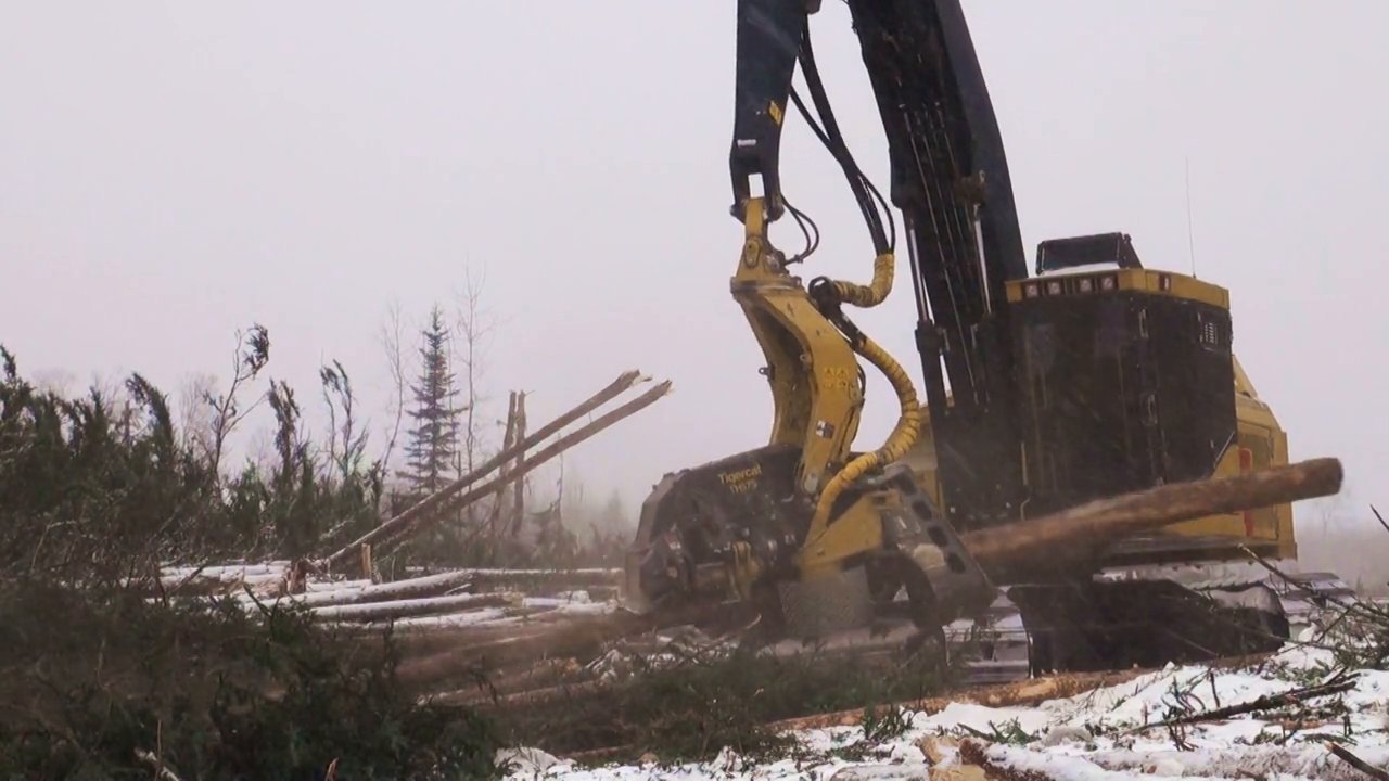 Tigercat H855C