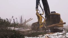 Tigercat H855C
