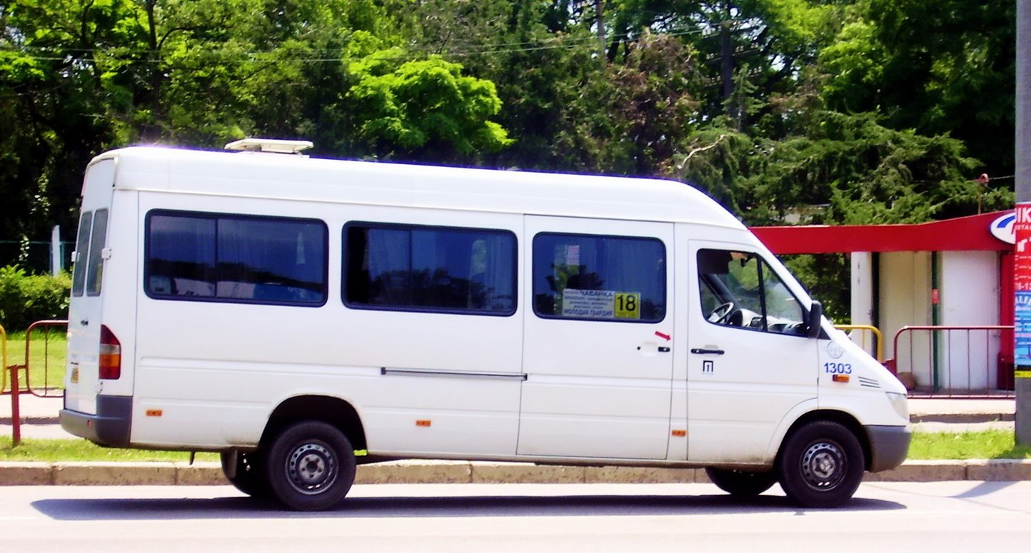 Van Mercedes Benz 308 CDI-C