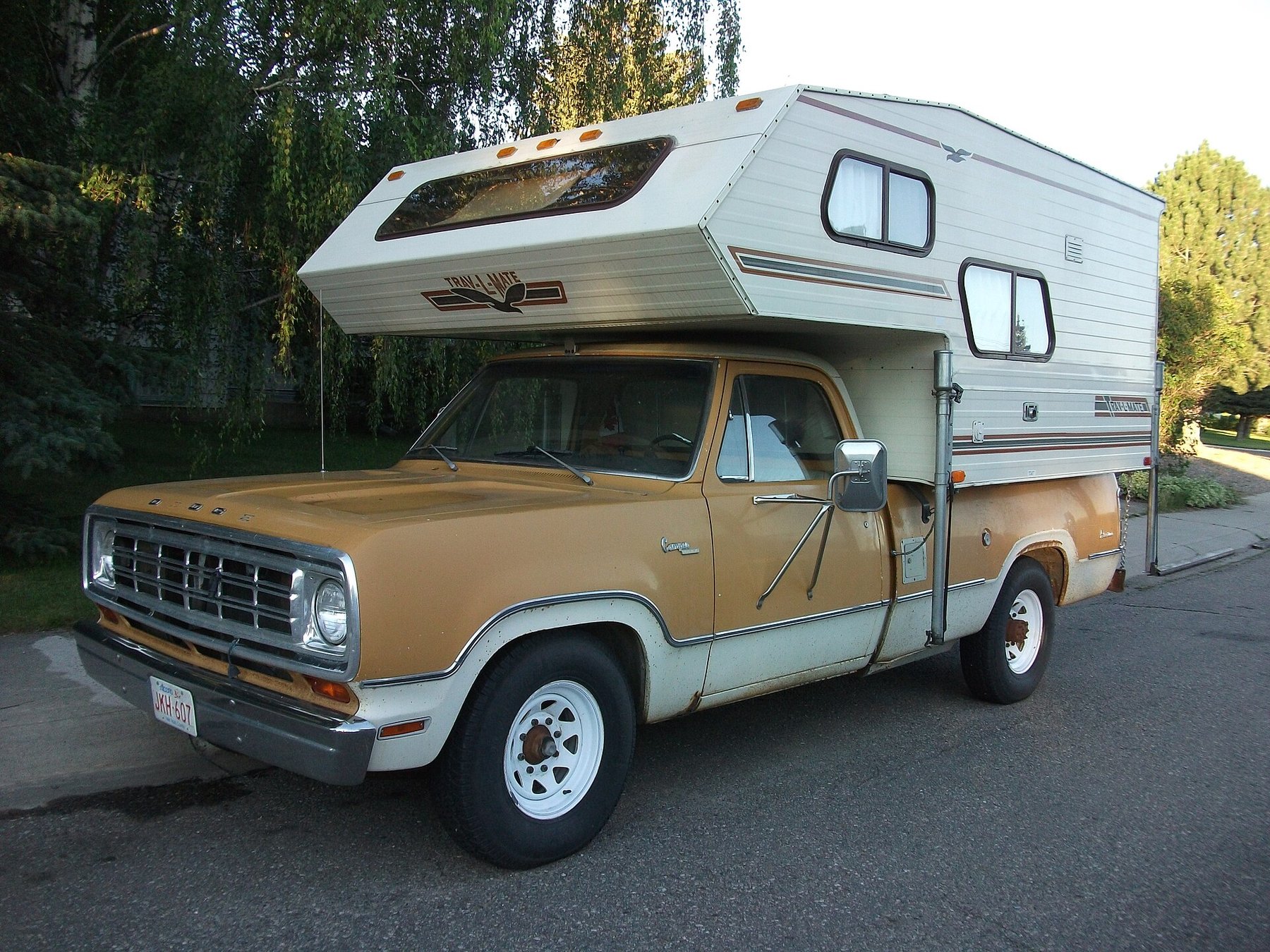 Van Dodge D200 CARGO 4X2
