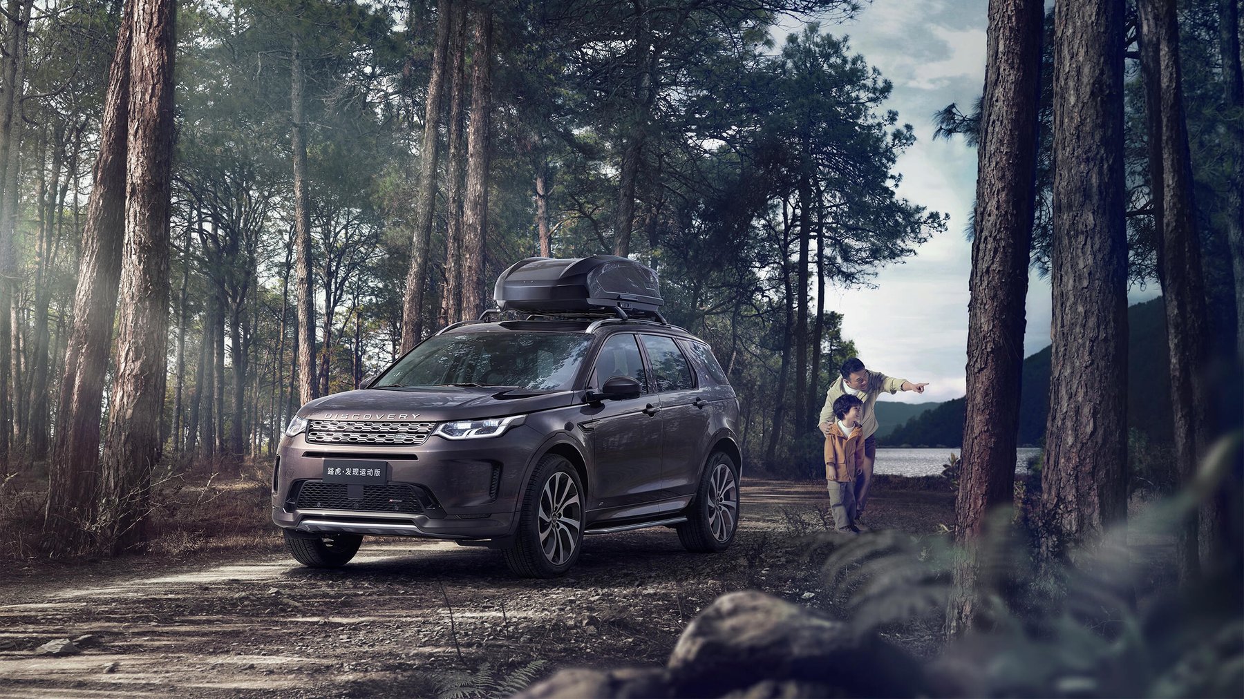 Van Land Rover LAND ROVER DISCOVERY