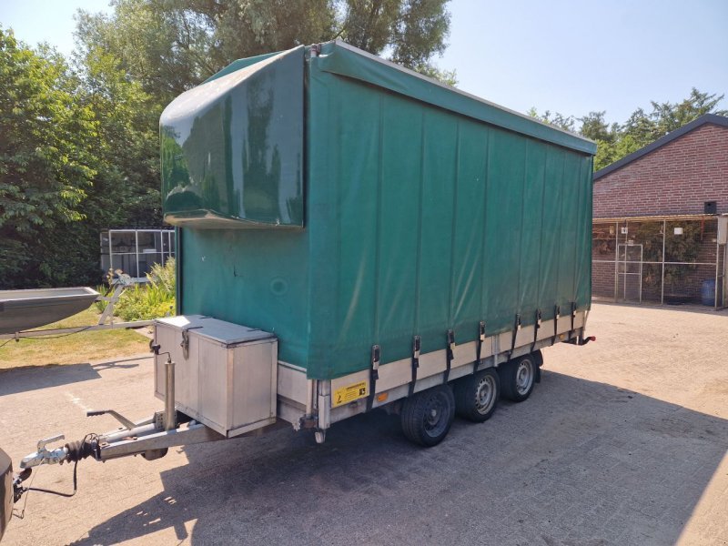 Polly 2000 HUIF