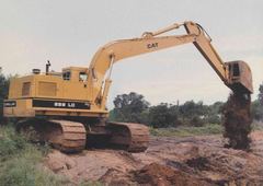Caterpillar 229