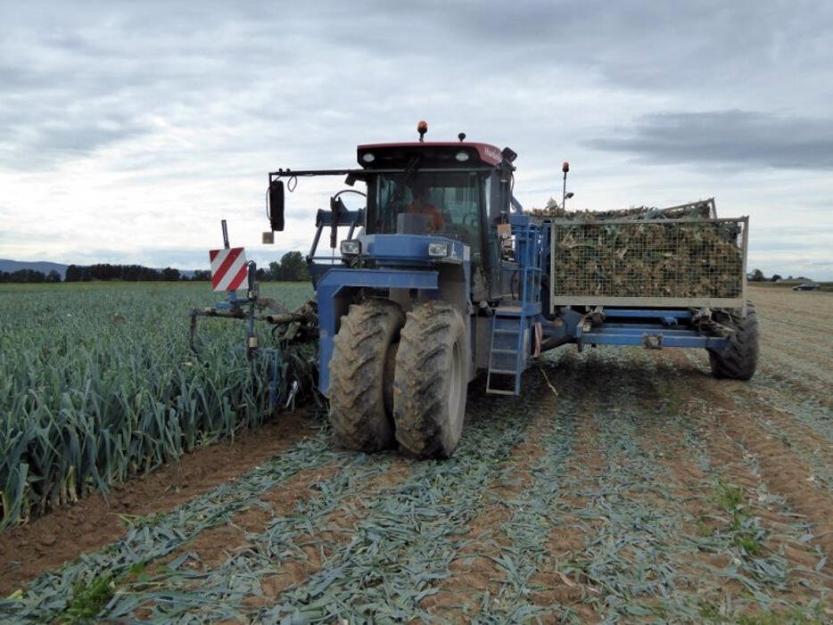 Harvester Alasia 11