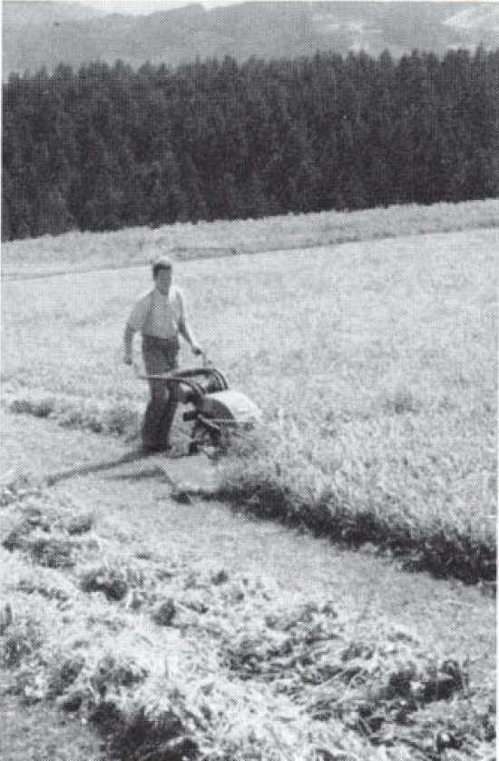 Traktor Aebi AM 52