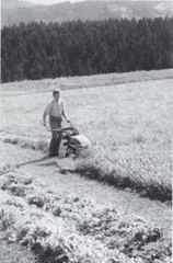 Aebi AM 52