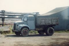 Dodge 100