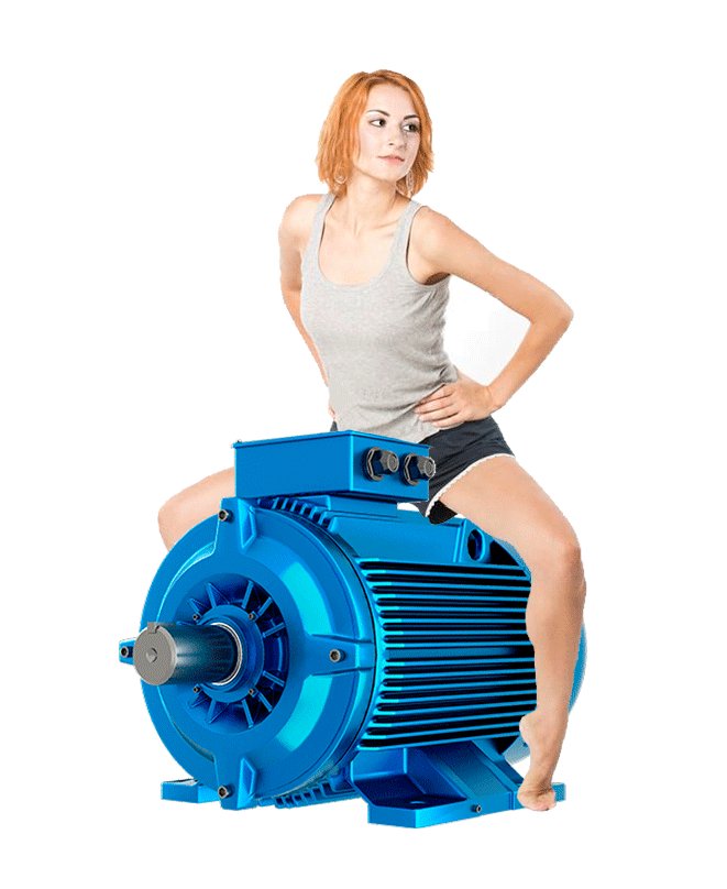 Electric motor Loher ANGA-160MB-06