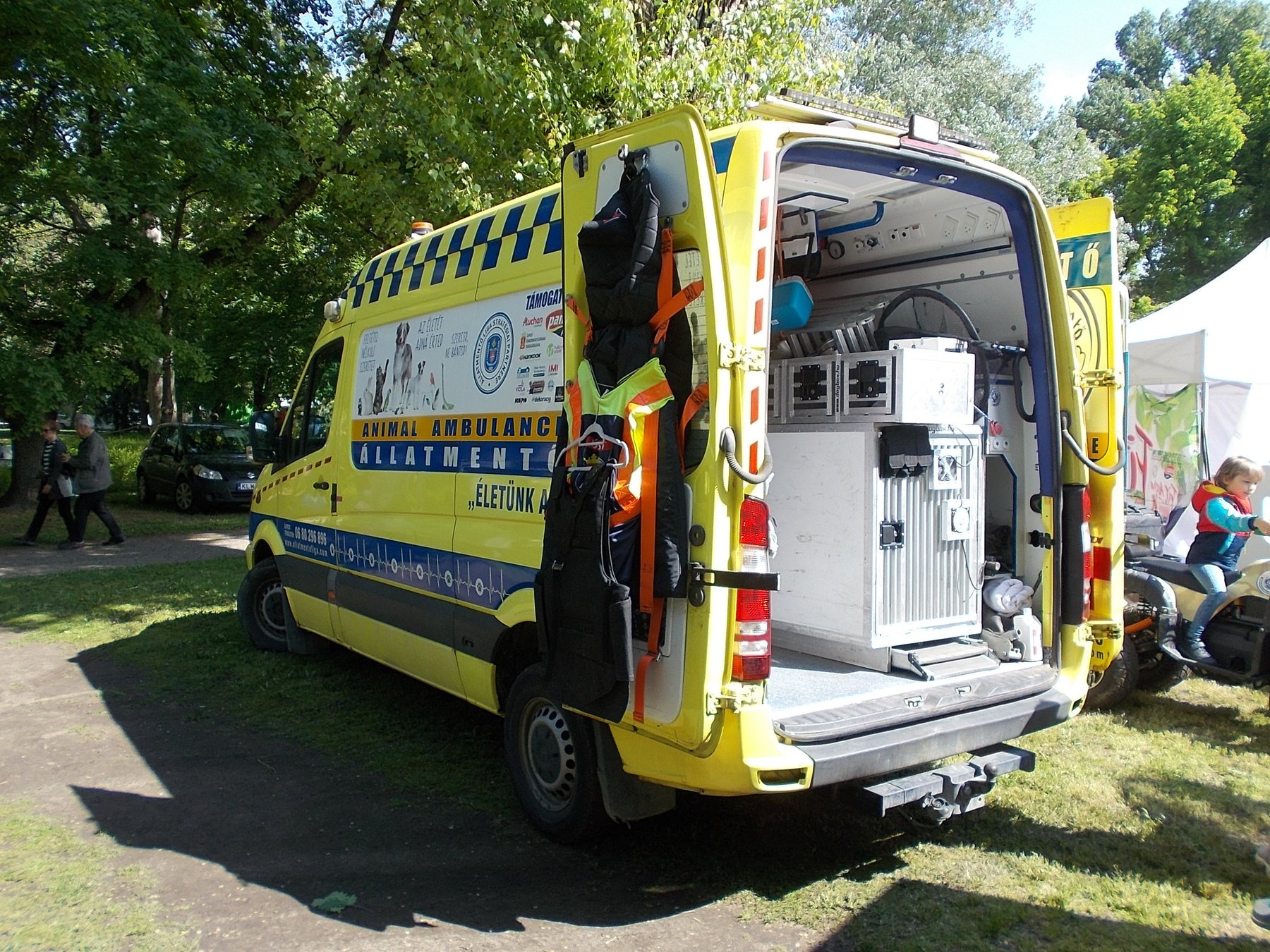Truck Mercedes Benz 319 CDI SPRINTER