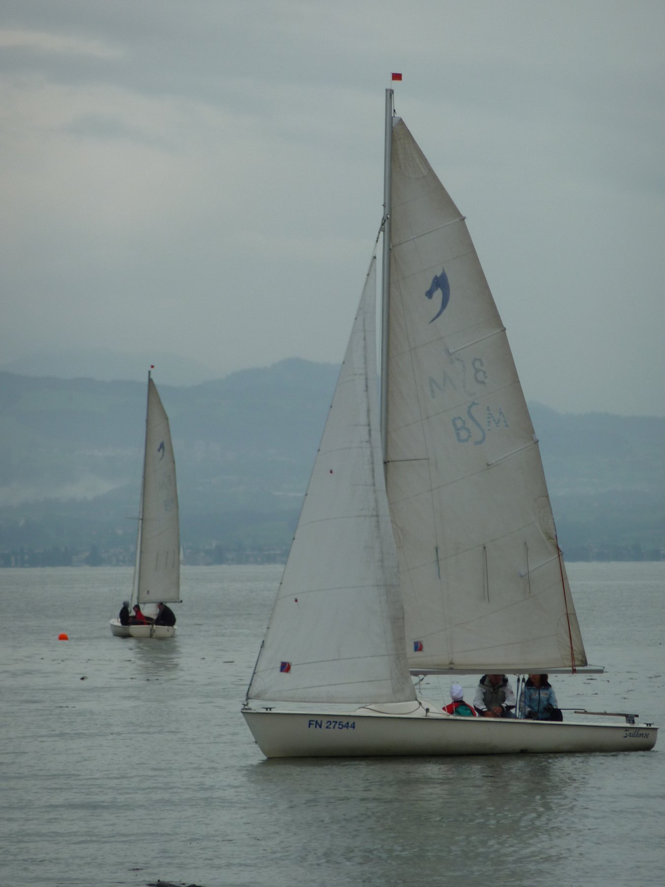 Poltrail SAILHORSE