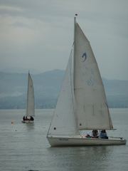 Poltrail SAILHORSE